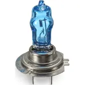 Hella Gloeil H16 12V 19W Longlife voor o.a. DACIA, FIAT, LADA, LEXUS, MITSUBISHI, OPEL, RENAULT, SKODA, SSANGYONG, SUBARU, SUZUKI, TOYOTA