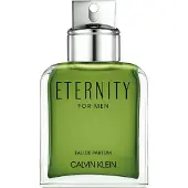Calvin Klein Eternity 100 ml Eau de Parfum - Herenparfum