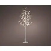 Molecule KAEMINGK verlichte berkboom met 750 LEDs voor buiten 220cm