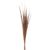 J-Line bosje 15 Grasspriet - gras - bruin