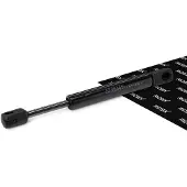 RIDEX 219G1016 Gasveer achterklep