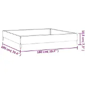 vidaXL Plantenbak verhoogd 100x100x18,5 cm cortenstaal