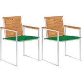 vidaXL Tuinstoelen 2 st met kussens massief acaciahout en staal