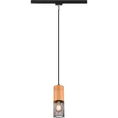 TRIO Hanglamp DUOLINE 73430132