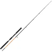 Hart Nation Popping Rod Zilver 2.36 m / 80-180 g