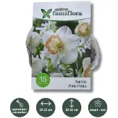 Famiflora Narcis Pink Pride - Voorjaarsbloeiers - 15 bloembollen - Roze bloemen brengen optimisme en vrolijkheid voor een opgewekte tuin - Symboliseert lente en groei waardoor je tuin energie krijgt