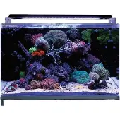 Aquadistri Reef 160 aquarium Blue Marine