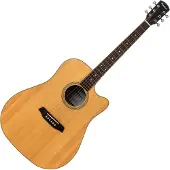 Pasadena PDC-300 Natural Satin Akoestische gitaar