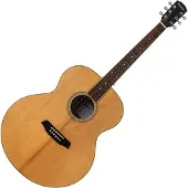 Pasadena PJ-300 Natural Satin Jumbo akoestische gitaar