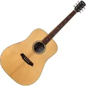 Pasadena PD-250 Open Pore Natural Akoestische gitaar
