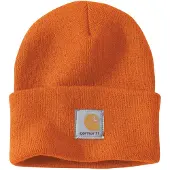 Carhartt Watch Hoed