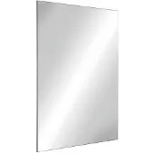 Delabie wandspiegel roestvaststaal (RVS) (hxb) 980x595mm rechthoekig