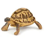 Papo - Tortue d'Hermann -