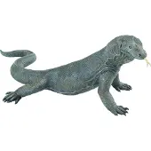 Safari - Komodo dragon