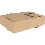 vidaXL Vouwdoos met opslag 50 st Naturel 40 x 30 x 10 cm Karton