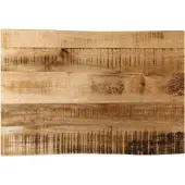 vidaXL Tafelblad met natuurlijke rand 70x40x3,8 cm massief mangohout