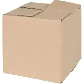 vidaXL Vouwdoos met opslag 50 st Naturel 20 x 20 x 20 cm Karton