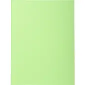 Exacompta dossiermap Forever 180, ft A4, pak van 100, lichtgroen