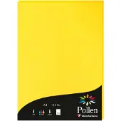 Pollen Papier