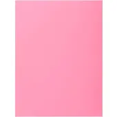 Exacompta 348003e Pink Map 100 Eenheden