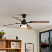 LUCANDE LED plafondventilator Tedric, zwart, stil, 133 cm Tedric, zwart, Woon-/ Eetkamer, metaal, Vintage