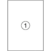Quantore Etiket 210x297mm 100 stuks