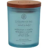 Chesapeake Bay Candle – Reflectie en helderheid – Klein 96 g
