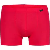 Olaf Benz Boxershorts ' RED1601 Casualpants ' knalrood