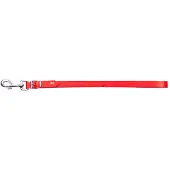 Dingo Korte Leren Hondenriem 2x50 cm Rood