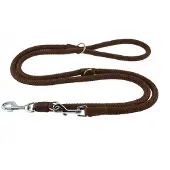 Champion Verstelbare Hondenlijn 2,5m/1,4cm - Bruin, Stevig