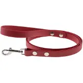 4Wild Waterdichte Hondensnoer 1,5m - Bordo Biothane