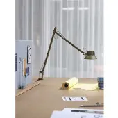 Muuto Dedicate Bureau Lamp Brown Green | L2 | Clamp