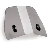 Puig Traffic 6886h Voorruit