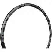 Gtr Rr Disc Velg