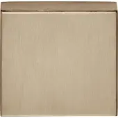 Formani Basics BSQB53 blind afdekplaatje vierkant - PVD licht brons