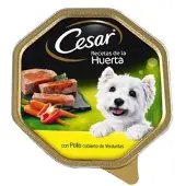 Cesar Voedsel Voor Honden Kippen En Groenten 150g 14 Eenheden