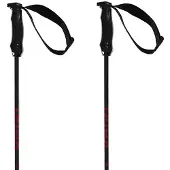 Völkl Rentastick Carbon Stokken