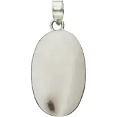 MOOYE ® - Collectie Zilveren Dendriet Opaal edelsteen ovaal groot hanger