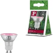 Paulmann LED-plantenlamp groei 230 V GU10 3.5 W Barnsteen 1 stuk(s)