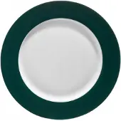 Ambition Aura Groen eetbord bord 27 cm