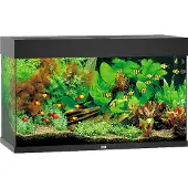 Juwel Rio 125 LED, zwart - aquarium