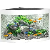 Gebr. De Boon Juwel aquarium Trigon 190 LED met filter wit Juwel