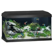 Juwel Aquarium Primo
