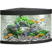 Gebr. De Boon Juwel aquarium Trigon 190 LED met filter zwart Juwel