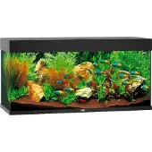 Gebr. De Boon Juwel aquarium Rio 180 LED met filter zwart Juwel