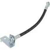 Delphi LH7745 Remslang