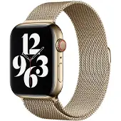 Apple Watch 42/44/45 mm Polsband Milanees Goud