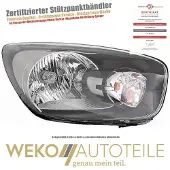 Diederichs 6506080 Koplamp