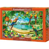 Castorland Exotic Place For You Puzzel 1000 Stukken