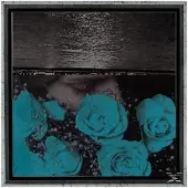 Konkurrent Jessica Bailiff - At The Down-Turned Jagged Rim Of The Sky (LP)